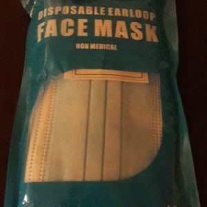30 ct Disposable Earloop Face Mask